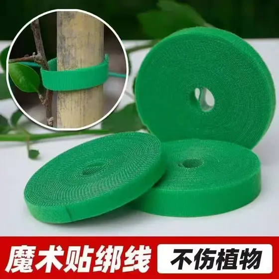 Cinto de planta escalada rattan verde planta cinto dupla face Viscose escalada rattan titular jardinagem suporte F