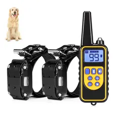 Nova coleira eletrônica para cães com alcance de 800 metros e conexão USB