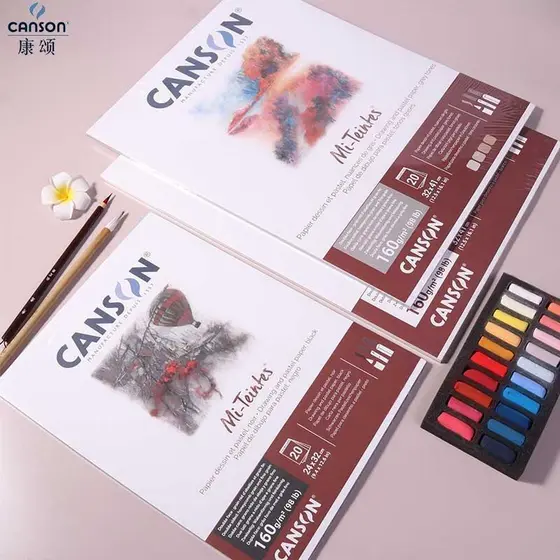 Canson Toner Paper Mi-Tintes Mi-Teintes Toner Desenho Livro Colorido Esboço Livro 50% Algodão Cinza Esboço Papel