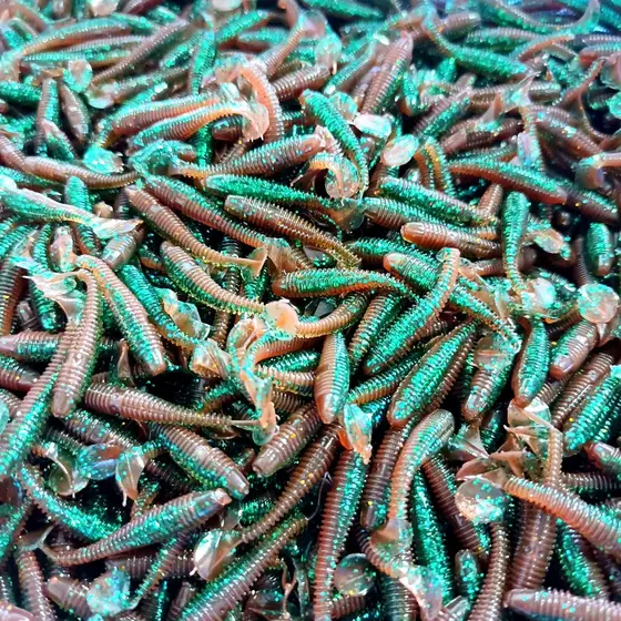 DUODUOYU 50 Pçs Mini Isca De Pesca Macia 0.37g/3.5cm Pequena Ttail Worm Wobbler Carpa Artificial Equipamento