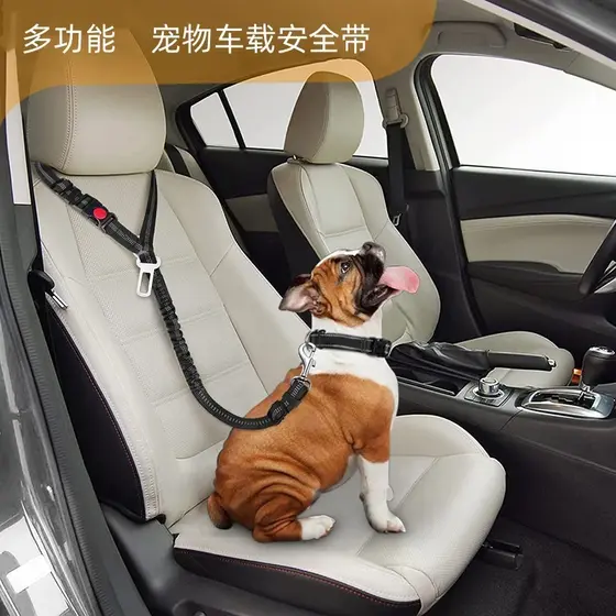 Cinto de segurança para animais de estimação, corda para caminhada de cachorro, fivela de segurança para carro, pequeno,