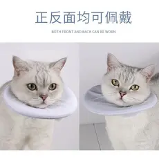 Suprimentos para gatos