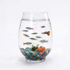 Aquário Vaso de Vidro Multifuncional para Arranjos Florais, Mini Jardins e Decoração de Mesa
