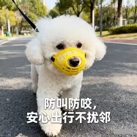 Bichon dedicado cão boca capa anti-mordida latindo anti-comer Teddy Corgi boca capa pequena máscara de cão de tamanho mé