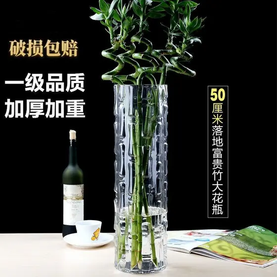 Engrossado Extra grande piso transferência fortuna bambu água flores secas arranjo de flores hidropônico vaso de vidro t