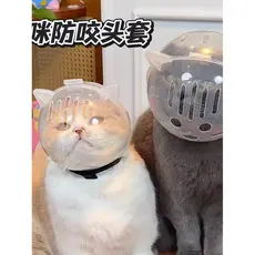 Gato chapelaria corte de unhas anti-risco anti-mordida Pet espaço chapelaria estrela respirável ajustável capacete de se