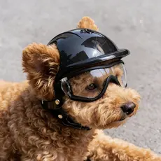 Capacete para passeio de animais de estimação, óculos transparentes à prova de vento, cachorro, Corgi, Shiba Inu, pelúci