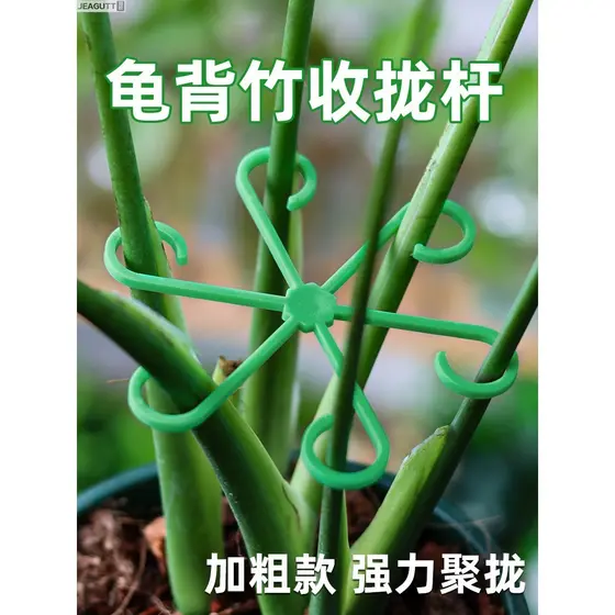 Monstera fixo ferramenta útil haste de suporte planta Anti-invertida flor suporte quadro pássaro do paraíso flor quadro