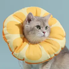 Gato Elizabeth colar gatinho Anti-lamber mordida vergonha colar chapelaria coleira de esterilização acessórios para anim
