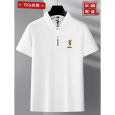 2026 Paul verão pesado algodão manga curta camiseta respirável malha frisada meia-idade bordado cavalo etiqueta PO