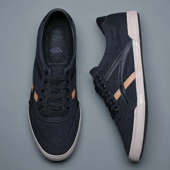 Sapatos de lona masculinos primavera respirável sapatos masculinos 2026 novos sapatos casuais tênis masculinos tamanho g
