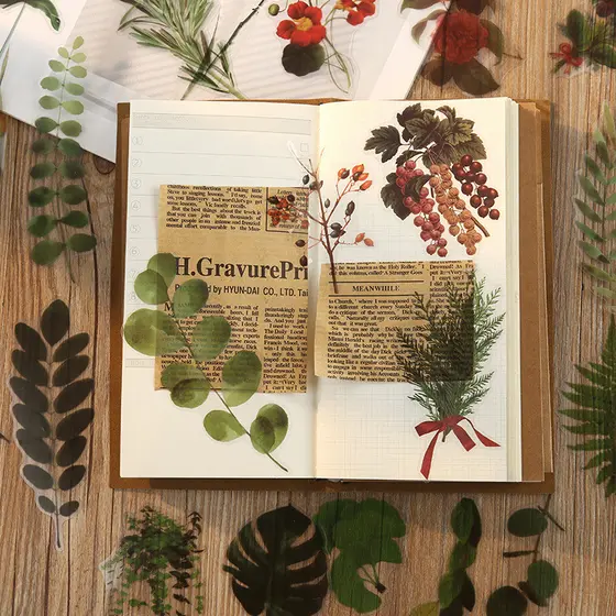 Janela palavras secretas série planta coleção manual adesivo pacote PET adesivos decorativos Retro planta flor grama Mat