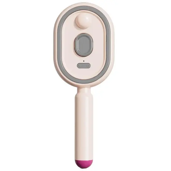 WetElectricHairbrush-HairBrushWithWater,VibrationMistingBrushingTool,RedLightAirCushionMisterForWomenGirlsHomeSpaCleanin