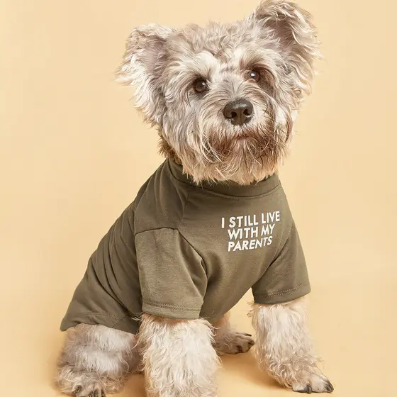 Camiseta One Khaki Pet Letter