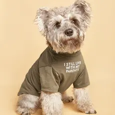 Camiseta One Khaki Pet Letter