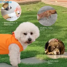 TOBIE Alça De Suporte Para Perna Traseira Animais De Estimação , Espessa Respirável Cães , Quadril , Forro Macio