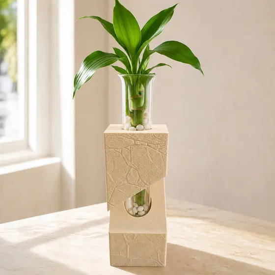 Vaso Prisma Decorativo Hidroponico para Bambu da Sorte Suporte com Tubo de Vidro