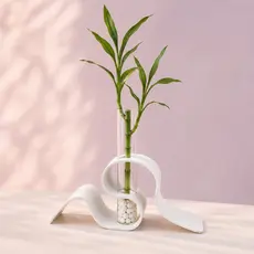 Vaso Decorativo Para Bambu da Sorte Hidropônico com Tubo de Vidro