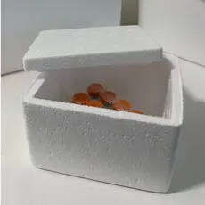 kit 20; 15; 5  caixas térmica de isopor 250ml para medicamentos, ampolas, sorvete ideal para viagem, envio imediato