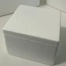 1 Caixa Térmica de Isopor 250ml para medicamentos e alimentos.