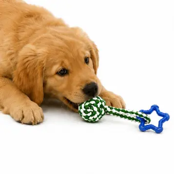 Mordedor para Cachorro Corda e Borracha Brinquedo Pet Interativo Resistente 1UN