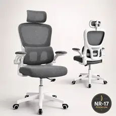 Cadeira De Escritório Ergonômica Mesh Cinza Presidente NR17 Com Apoio Lombar 150kg Braço Retrátil