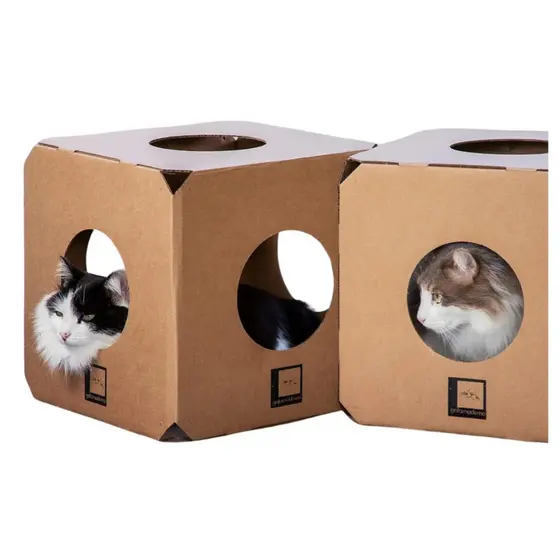 Labirinto PET para Gatos 2 cubos Ecológico