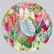 50 folhas transparentes coloridas folha Taro adesivos PET planta criativa folhas coloridas à prova dwaterproof água deco