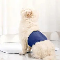 Cinta Lavável para Cães Machos com Botões de Pressão, Super Absorvente e à Prova de Vazamentos, Perfeita para Calcinhas