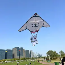 Filhote de cachorro kite adulto crianças dedicado brisa fácil voar 2026 novo estilo Handheld papel kite ao ar livre foto