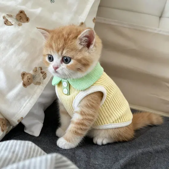 Roupas para gatinhos Anti-fiapos estilo fino alemão sem pêlos gato legal colete roupas para animais de estimação cães 20