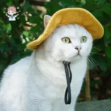 Orelha De Cachorro Exposta Bonito Balde Para Animais De Estimação Chapéu Macio Pelúcia Respirável Quente Elegante