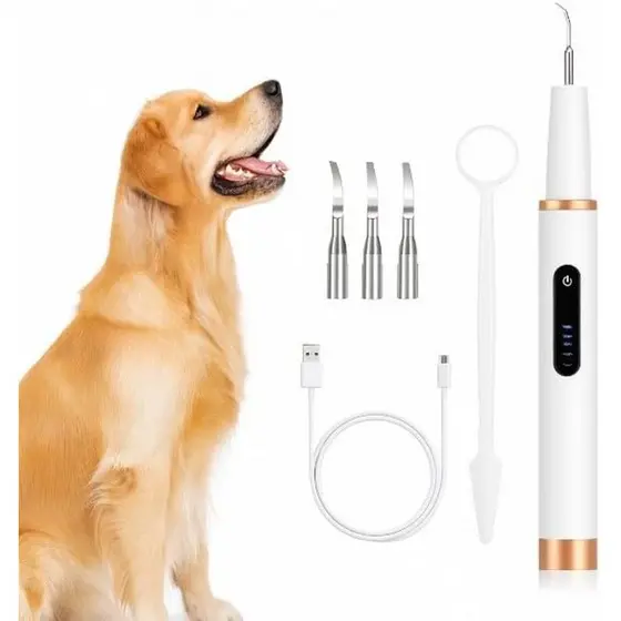 Limpador Ultrassônico De Dentes , Placa Elétrica & amp ; Removedor De Tártaro Para Kit Profissional De Limpeza Dentária