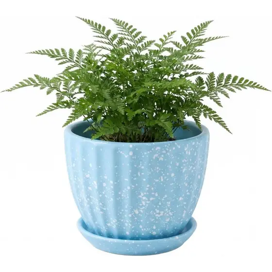 Vasos de cerâmica de 4 polegadas para plantas suculentas de interior com furos de drenagem e pratos, vaso para bonsai, s