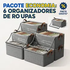 Kit 6 Caixas Organizadoras de Roupas Dobráveis Tampa Visível 47x28x20cm Para Armário Guarda Roupa