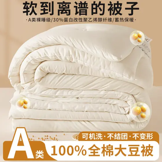 Colcha de fibra de soja de algodão classe A espessada colcha de inverno quente único duplo 4kg primavera outono colcha d