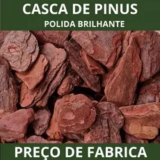 Casca De Pinus Polida Natural Selecionadas Jardinagem Decoração de Plantas Saco