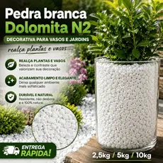 Pedra branca Dolomita N2 - 2,5kg /5kg /10kg Decorativa para Vasos e Jardins, realça plantas e vasos - Entrega Rapida !