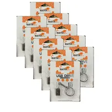 Kit Mini Pendrive – Chaveiro Metálico USB 2.0 (8GB a 32GB) Compacto, Resistente e Eficiente!