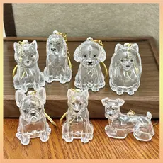 Pingente De Cápsula Transparente À Prova De Poeira , Chaveiro De Recipiente De Pele De Alta Qualidade , Bonito , Fofo ,