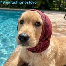 Protetores De Orelha Para Natação De Cães MXFASHIONESB , Ouvido Calmantes Ajustáveis À Prova De Choque , Proteção Contra
