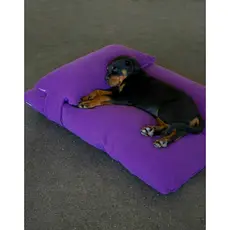 Cama Pet Com Travesseiro Tecido Fleece - #seupet#macio#travesseiro#carinho#filho