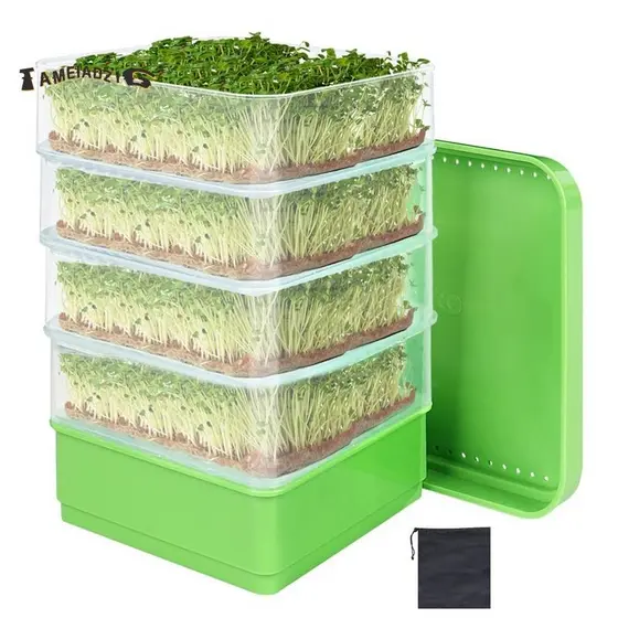 Kit De Germinação De Sementes De Feijão , Bandeja De Cultivo De Plantas Micro-Verde Drenagem , Brotos Empilháveis De Qua