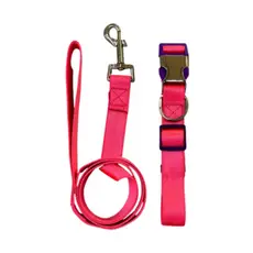 Kit Coleira de Pescoço Guia Para Cães Cores Vibrantes Neon Reforçada Vários Tamanhos
