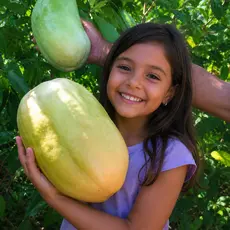 Sementes de Maracujá Gigante e Doce – Alta Qualidade para Horta