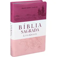 Bíblia Sagrada Feminina Letra Grande | Almeida Revista e Atualizada | Capa 3 cores com Índice
