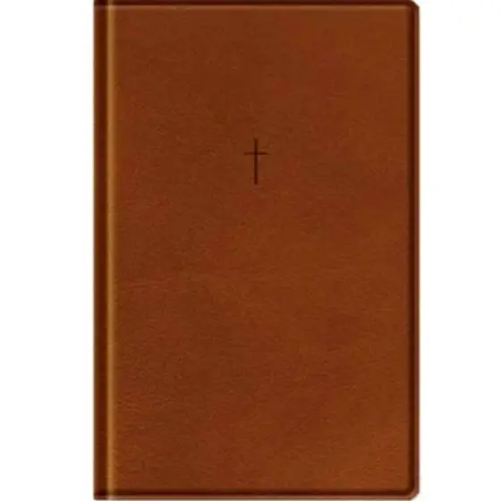 Bíblia Sagrada | NAA | Letra Grande | Capa Luxo Marrom