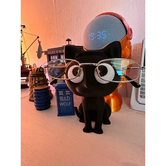 Porta Óculos versão Gato 🐈‍⬛