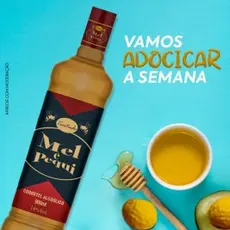 Bebida Coquetel Paratudo 900ml Mel e Pequi