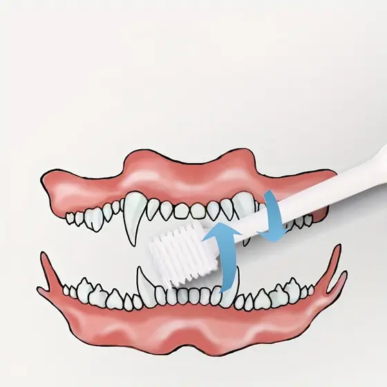 Novo Escova de Dente de Silicone para Dedo para Cães e Gatos, Acessórios para Pets Dentes, Produto Saúde Bucal
